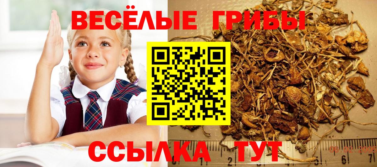Псилоцибиновые грибы Magic Shrooms Алатырь
