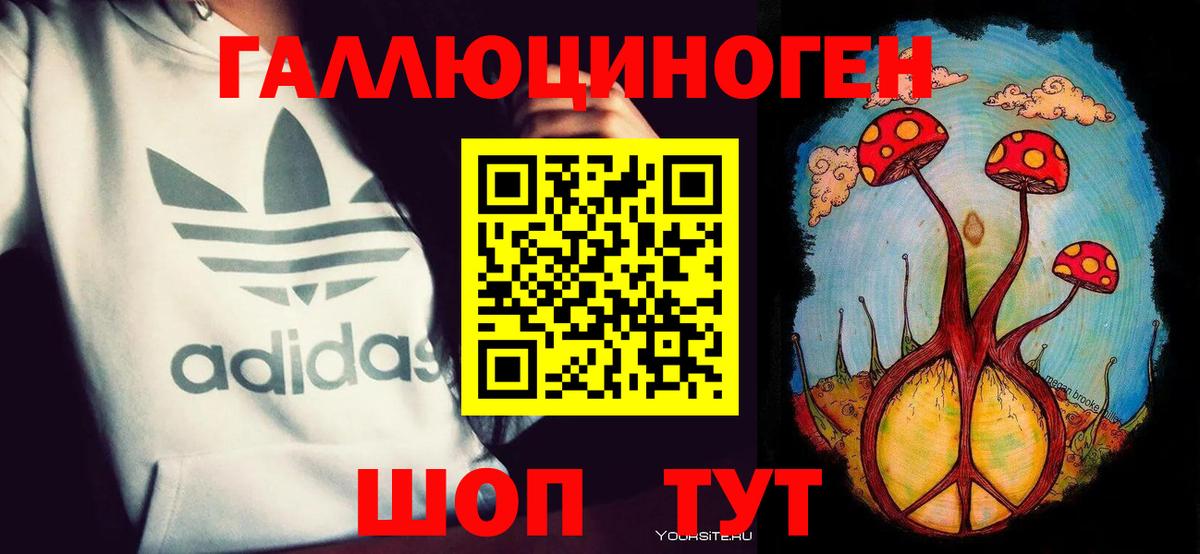 Псилоцибиновые грибы мухоморы  Вход с VPN  Алатырь  Галлюциногенные грибы Psilocybine cubensis 
